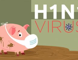 H1N1 influenza pandemic