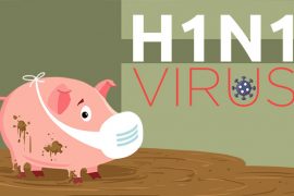 H1N1 influenza pandemic
