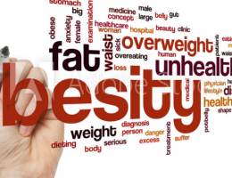 장내 세균이 비만의 원인?