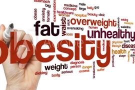 장내 세균이 비만의 원인?