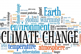 기후변화의 속도