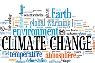 기후변화의 속도