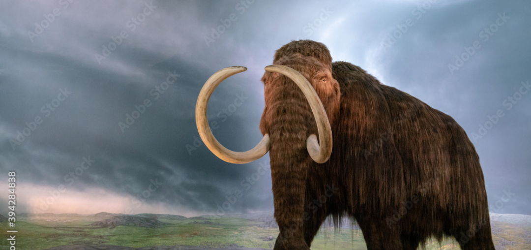 woolly mammoth