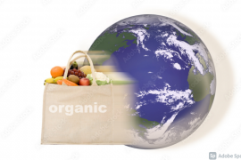 푸드마일 food mile